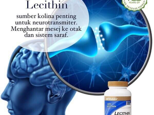 Lecithin vitamin pilihan, lebih jimat untuk pelajar