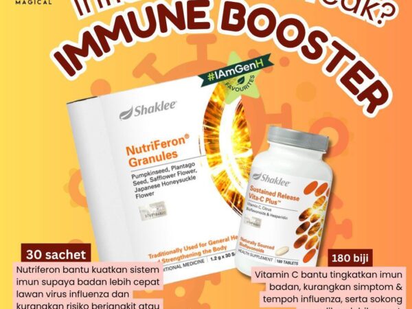 Musim Wabak Influenza