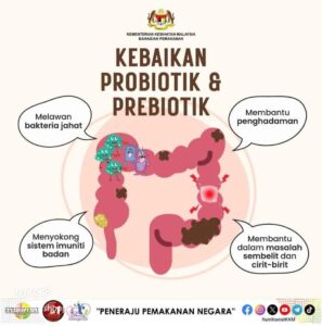 Usus , Sembelit dan Buasir