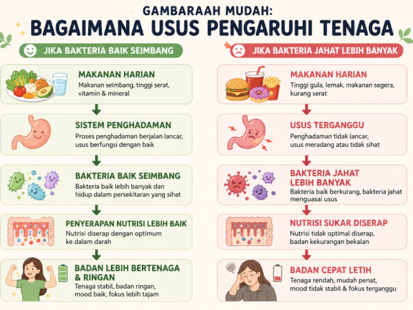 Kadang Penyelesaian Badan Lemau Bukan Kopi… Tapi Penghadaman Yang Sihat
