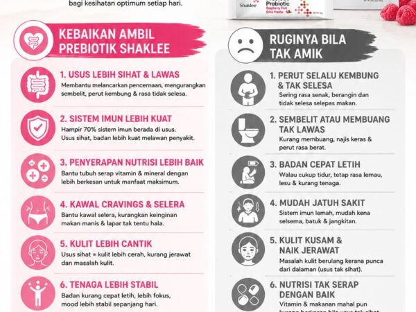 Kesihatan Usus dan Sistem Imun: Benteng Penting Tubuh